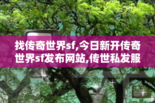找传奇世界sf,今日新开传奇世界sf发布网站,传世私发服网sf,今日新开传奇世界sf发布网站