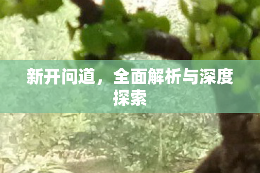 新开问道，全面解析与深度探索