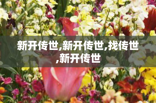 新开传世,新开传世,找传世,新开传世