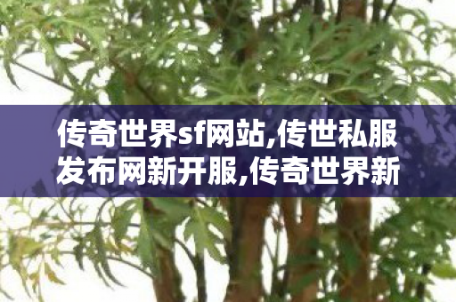 传奇世界sf网站,传世私服发布网新开服,传奇世界新开服网站,传世私服发布网新开服
