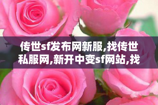 传世sf发布网新服,找传世私服网,新开中变sf网站,找传世私服网