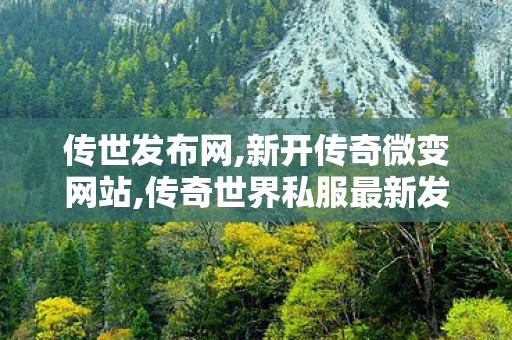 传世发布网,新开传奇微变网站,传奇世界私服最新发布网,新开传奇微变网站