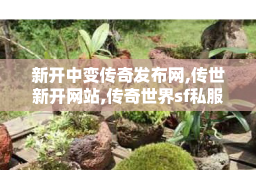 新开中变传奇发布网,传世新开网站,传奇世界sf私服发布网,传世新开网站