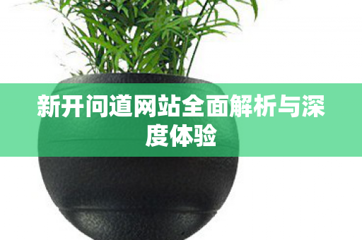 新开问道网站全面解析与深度体验