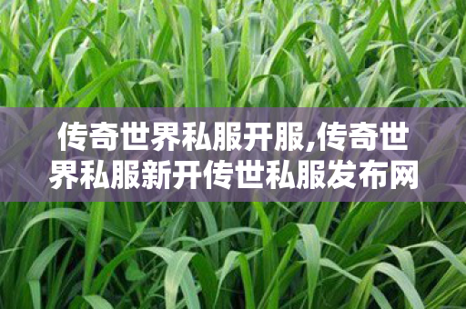 传奇世界私服开服,传奇世界私服新开传世私服发布网,新开超级变态传世sf,传奇世界私服新开传世私服发布网