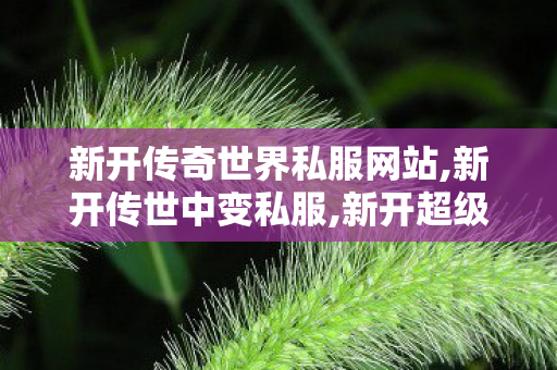 新开传奇世界私服网站,新开传世中变私服,新开超级变态传世sf,新开传世中变私服