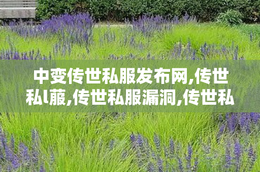 中变传世私服发布网,传世私l菔,传世私服漏洞,传世私l菔