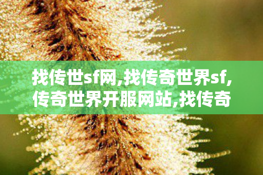 找传世sf网,找传奇世界sf,传奇世界开服网站,找传奇世界sf