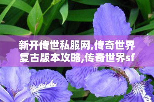 新开传世私服网,传奇世界复古版本攻略,传奇世界sf网站,传奇世界复古版本攻略