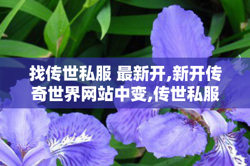 找传世私服 最新开,新开传奇世界网站中变,传世私服网,新开传奇世界网站中变