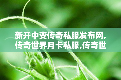 新开中变传奇私服发布网,传奇世界月卡私服,传奇世界私 服,传奇世界月卡私服