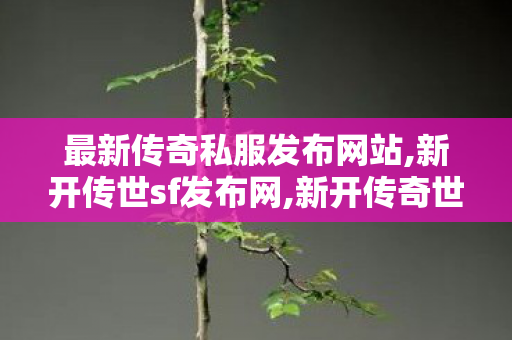 最新传奇私服发布网站,新开传世sf发布网,新开传奇世界网站刚开一秒,新开传世sf发布网