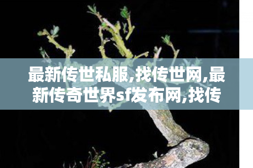 最新传世私服,找传世网,最新传奇世界sf发布网,找传世网