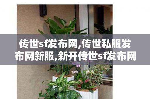 传世sf发布网,传世私服发布网新服,新开传世sf发布网站,传世私服发布网新服