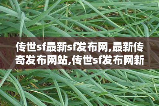 传世sf最新sf发布网,最新传奇发布网站,传世sf发布网新服,最新传奇发布网站