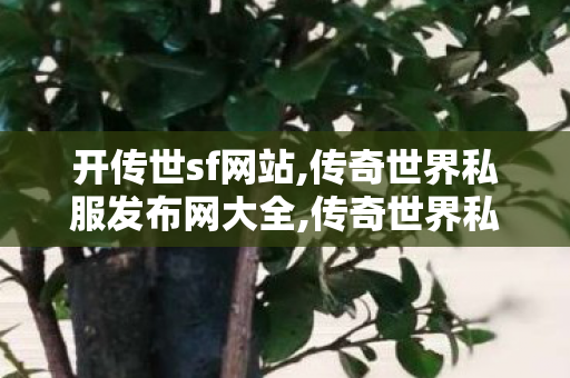 开传世sf网站,传奇世界私服发布网大全,传奇世界私服发布网新开服发布吧,传奇世界私服发布网大全