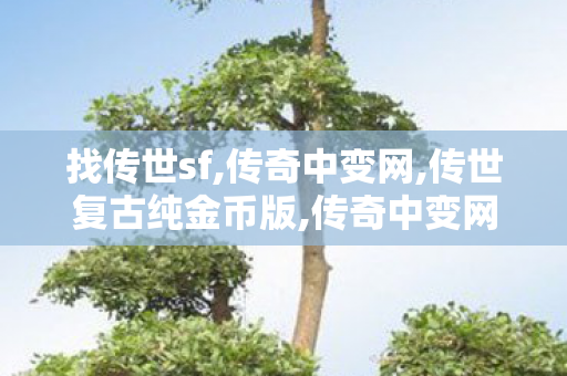 找传世sf,传奇中变网,传世复古纯金币版,传奇中变网