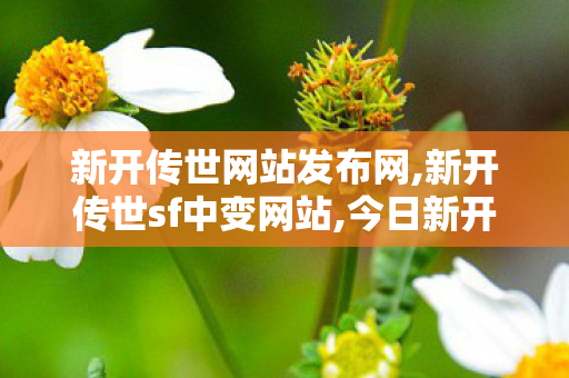 新开传世网站发布网,新开传世sf中变网站,今日新开传世私服,新开传世sf中变网站