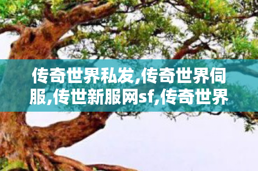 传奇世界私发,传奇世界伺服,传世新服网sf,传奇世界伺服