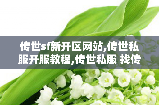 传世sf新开区网站,传世私服开服教程,传世私服 找传世网,传世私服开服教程