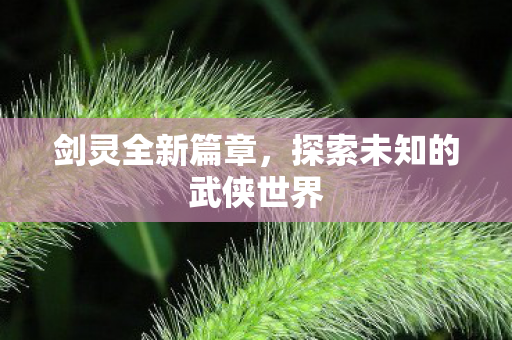 剑灵全新篇章，探索未知的武侠世界