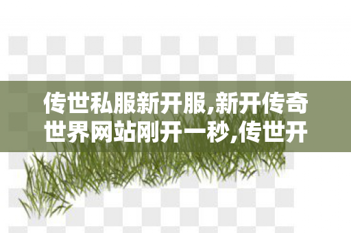 传世私服新开服,新开传奇世界网站刚开一秒,传世开服网,新开传奇世界网站刚开一秒