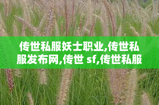 传世私服妖士职业,传世私服发布网,传世 sf,传世私服发布网