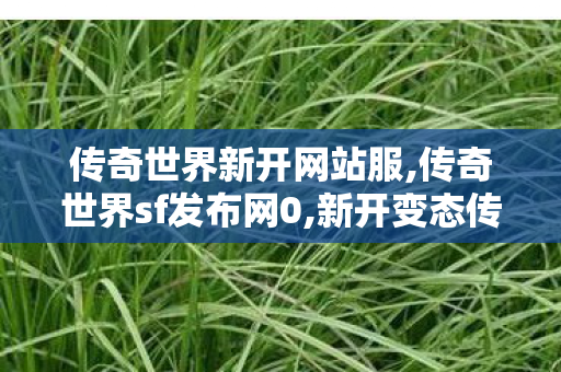 传奇世界新开网站服,传奇世界sf发布网0,新开变态传世,传奇世界sf发布网0