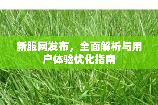 新服网发布，全面解析与用户体验优化指南
