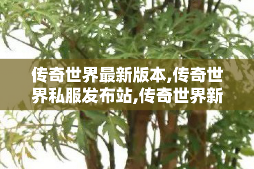 传奇世界最新版本,传奇世界私服发布站,传奇世界新开服,传奇世界私服发布站