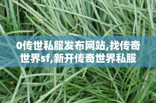 0传世私服发布网站,找传奇世界sf,新开传奇世界私服网站发布网,找传奇世界sf