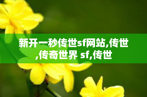 新开一秒传世sf网站,传世,传奇世界 sf,传世