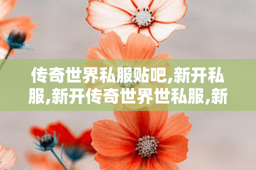 传奇世界私服贴吧,新开私服,新开传奇世界世私服,新开私服