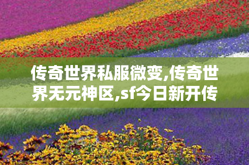 传奇世界私服微变,传奇世界无元神区,sf今日新开传奇,传奇世界无元神区