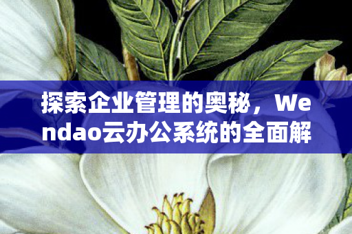 探索企业管理的奥秘，Wendao云办公系统的全面解析