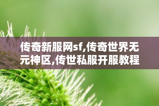 传奇新服网sf,传奇世界无元神区,传世私服开服教程,传奇世界无元神区
