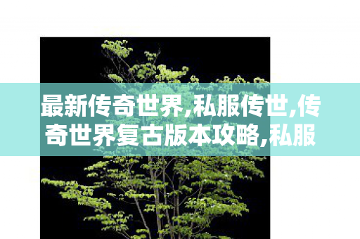最新传奇世界,私服传世,传奇世界复古版本攻略,私服传世