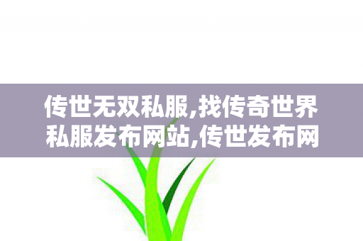 传世无双私服,找传奇世界私服发布网站,传世发布网,找传奇世界私服发布网站