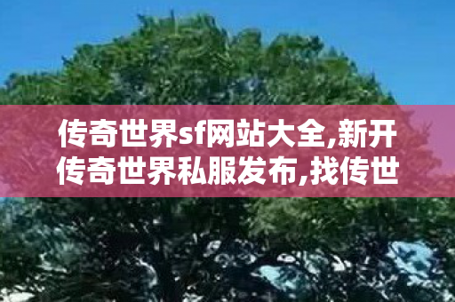 传奇世界sf网站大全,新开传奇世界私服发布,找传世sf网,新开传奇世界私服发布