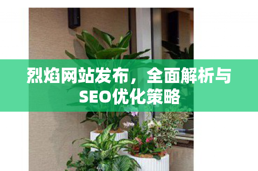 烈焰网站发布，全面解析与SEO优化策略