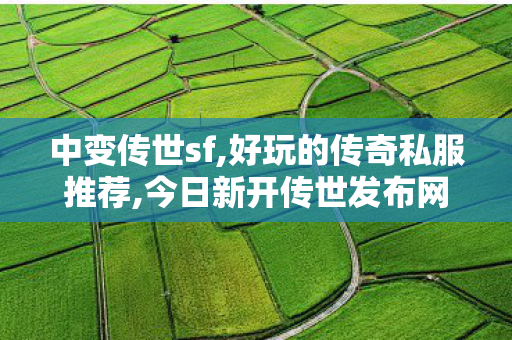 中变传世sf,好玩的传奇私服推荐,今日新开传世发布网,好玩的传奇私服推荐