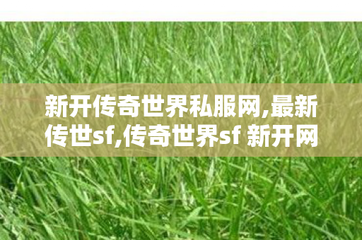 新开传奇世界私服网,最新传世sf,传奇世界sf 新开网站,最新传世sf