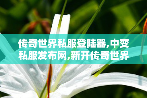 传奇世界私服登陆器,中变私服发布网,新开传奇世界sf传世sf网站,中变私服发布网