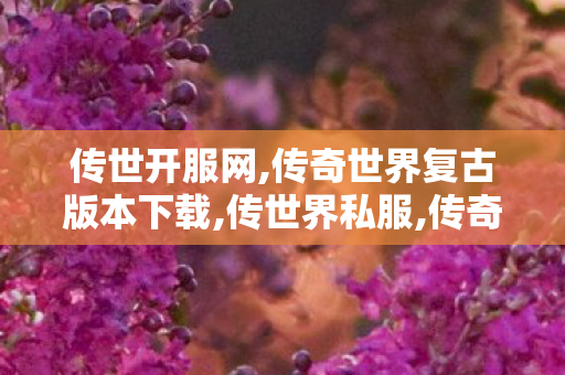 传世开服网,传奇世界复古版本下载,传世界私服,传奇世界复古版本下载