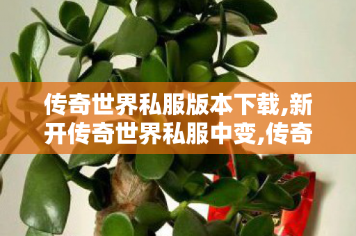 传奇世界私服版本下载,新开传奇世界私服中变,传奇sf发布网站,新开传奇世界私服中变