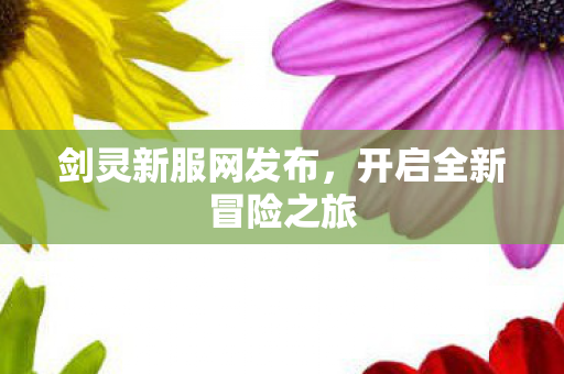 剑灵新服网发布，开启全新冒险之旅