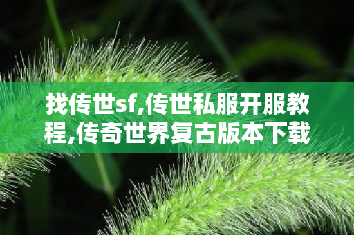 找传世sf,传世私服开服教程,传奇世界复古版本下载,传世私服开服教程