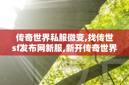 传奇世界私服微变,找传世sf发布网新服,新开传奇世界sf发布,找传世sf发布网新服