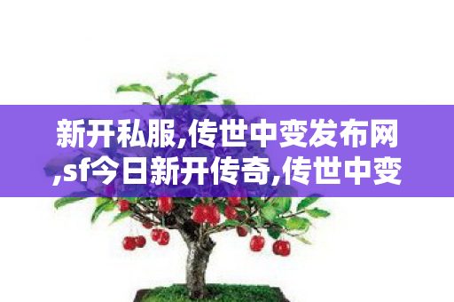 新开私服,传世中变发布网,sf今日新开传奇,传世中变发布网