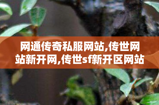 网通传奇私服网站,传世网站新开网,传世sf新开区网站,传世网站新开网